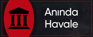 AnindaHavale
