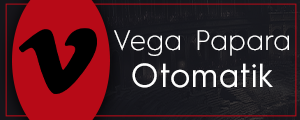 VegaPayPapara